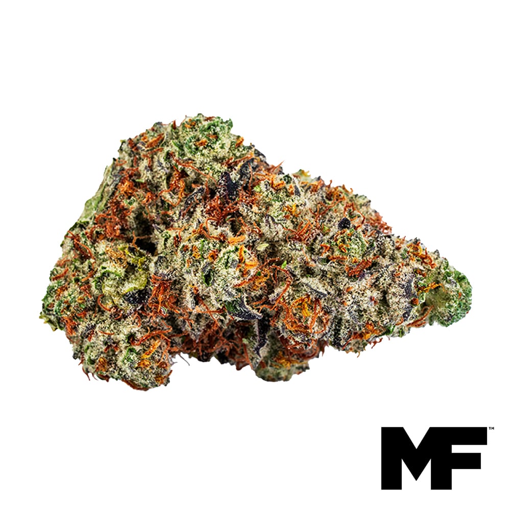 Modern Flower – Blue Beach Haze 