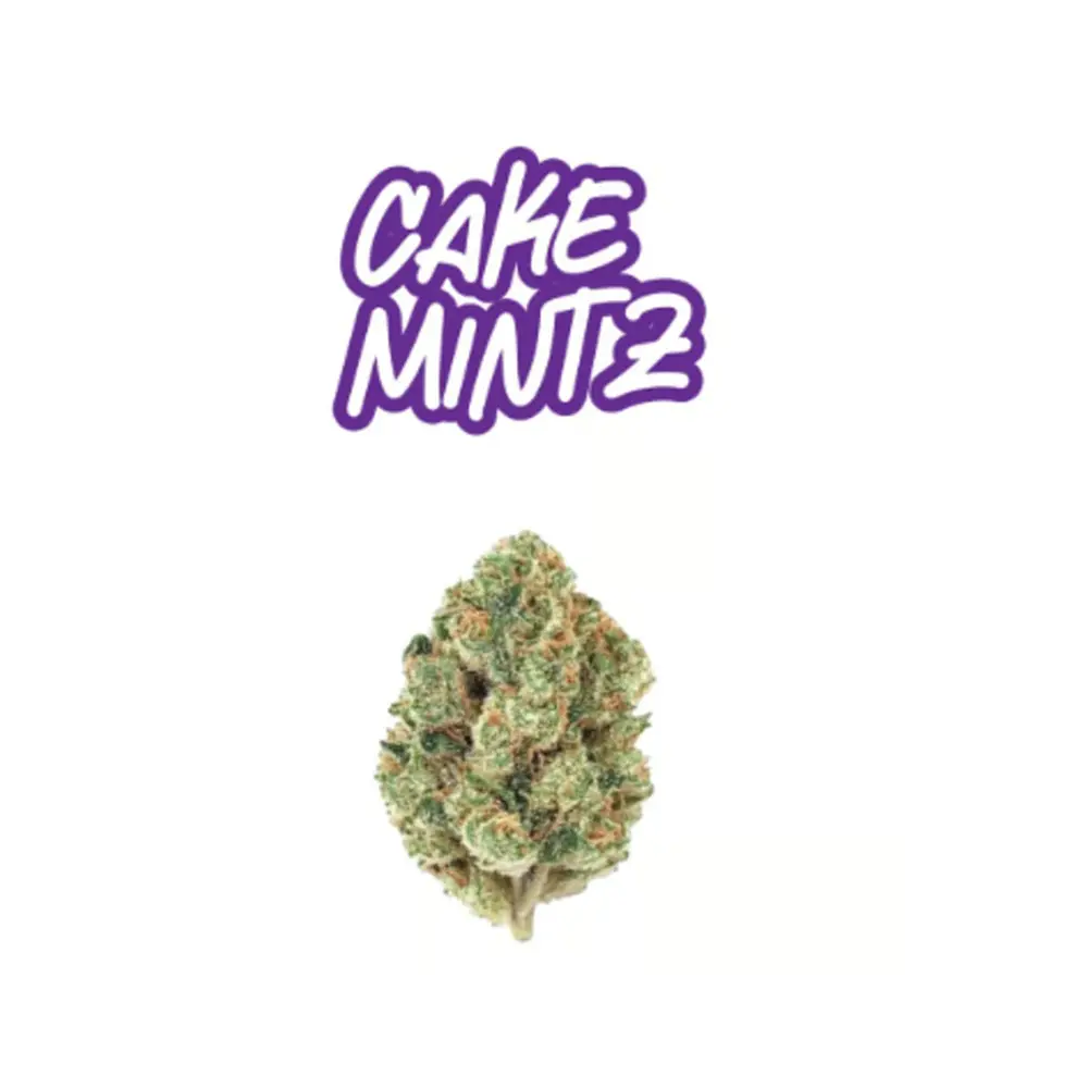 Fade Co. – Cake Mintz