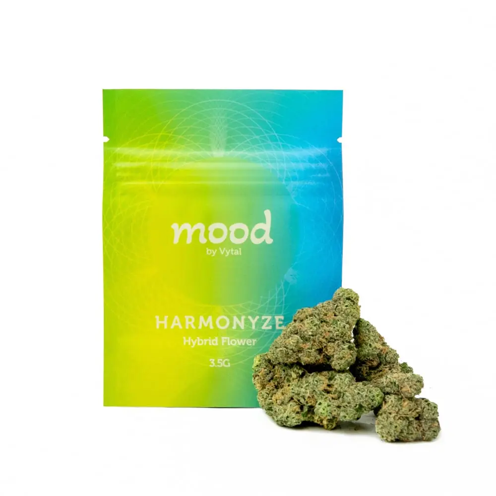 mood by Vytal – Grandaddy Durban