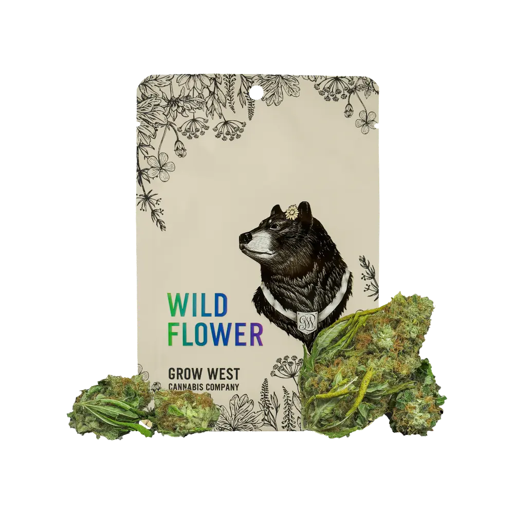 Grow West – Purple Koala
