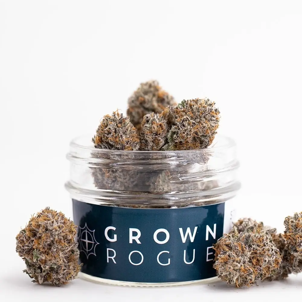 Grown Rogue – Jack Herer
