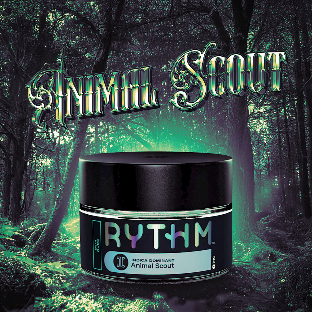 RYTHM – Animal Scout