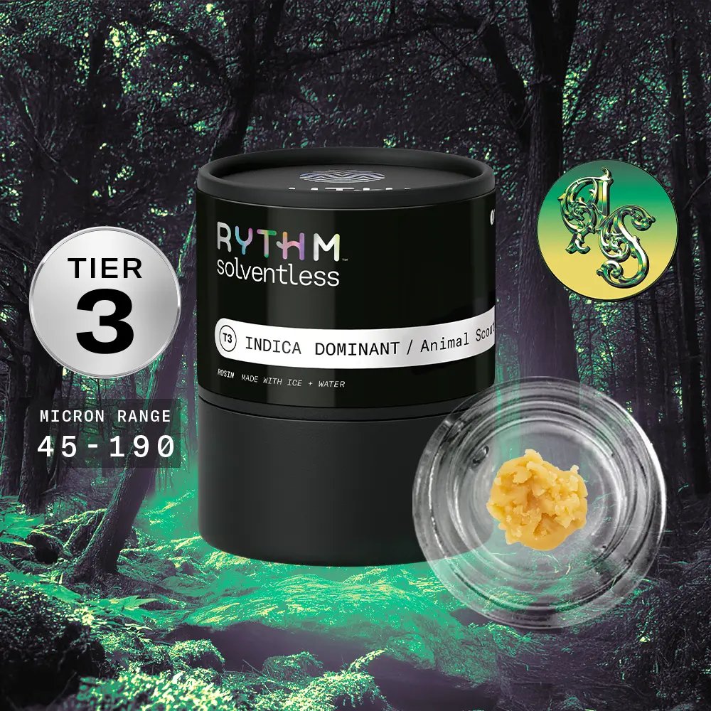 RYTHM – Animal Scout
