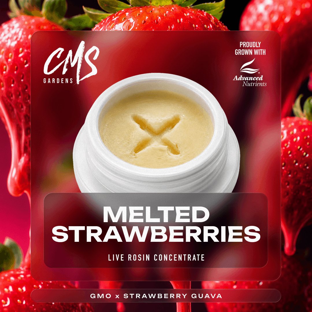 CMS Gardens – Melted Strawberries