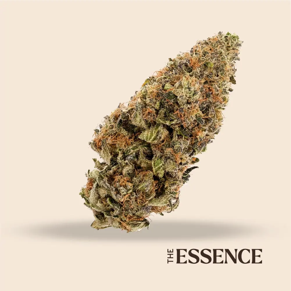 (the) Essence – Guava Cooler