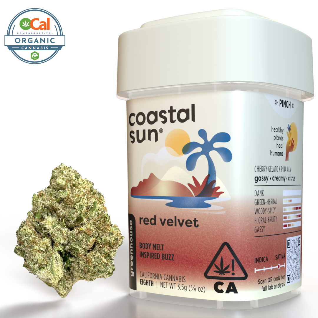 Coastal Sun – Red Velvet