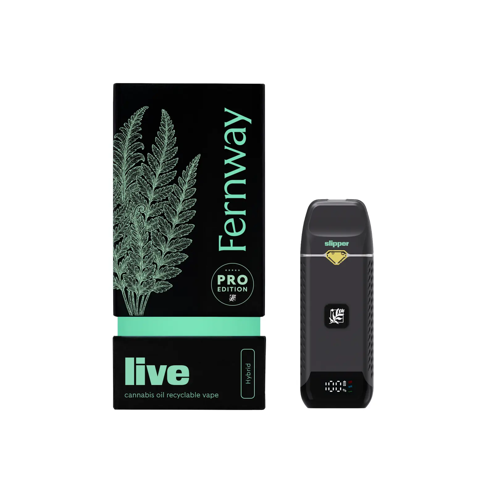Fernway – Glass Slipper | LIVE | All-In-One | 1.0g