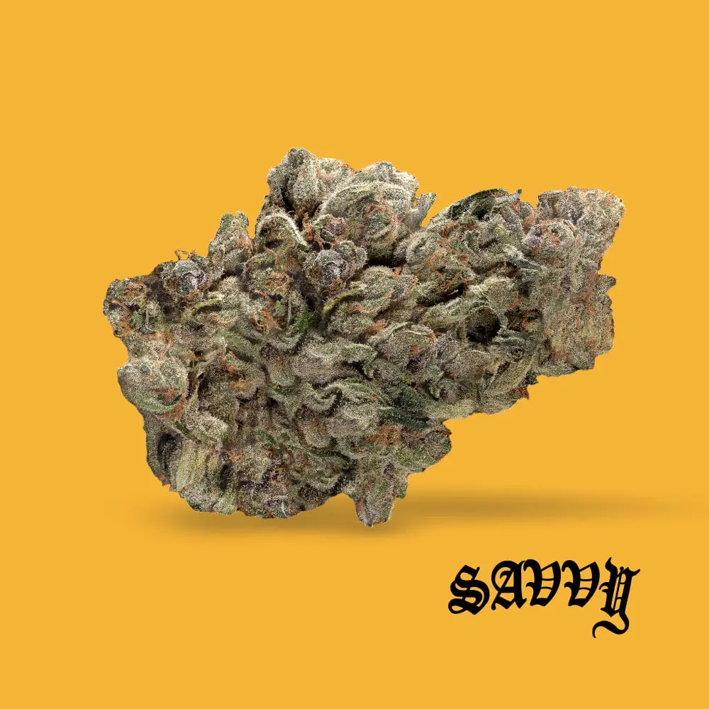 Savvy – Cherry Punch