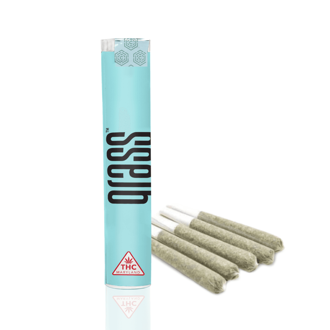 vape mückenschutz Vape Mückenschutz Vape Expert Vape Plattendiffusor
