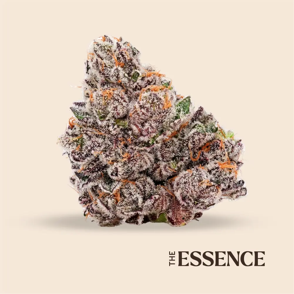 (the) Essence – Glitter Bomb