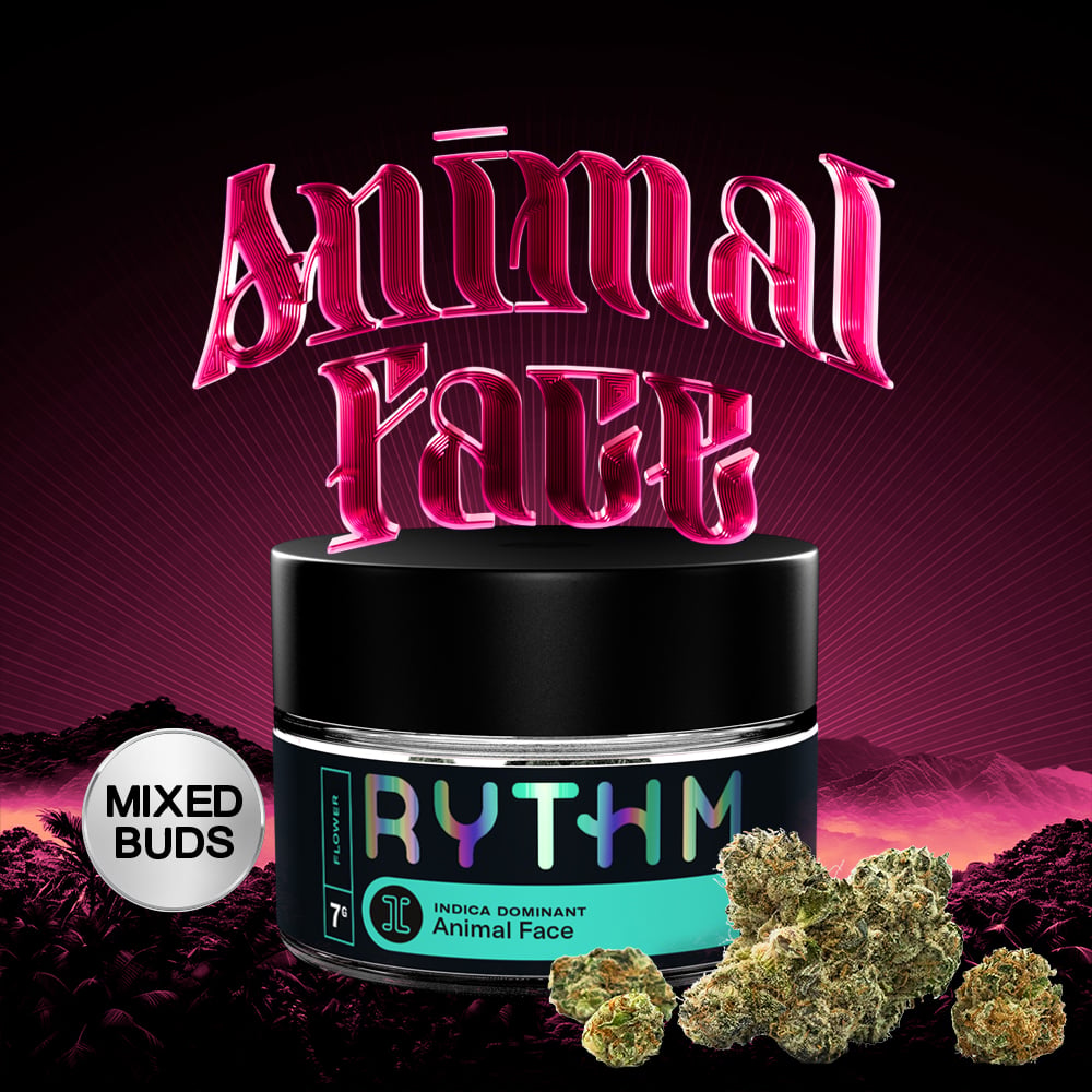 RYTHM – Animal Face
