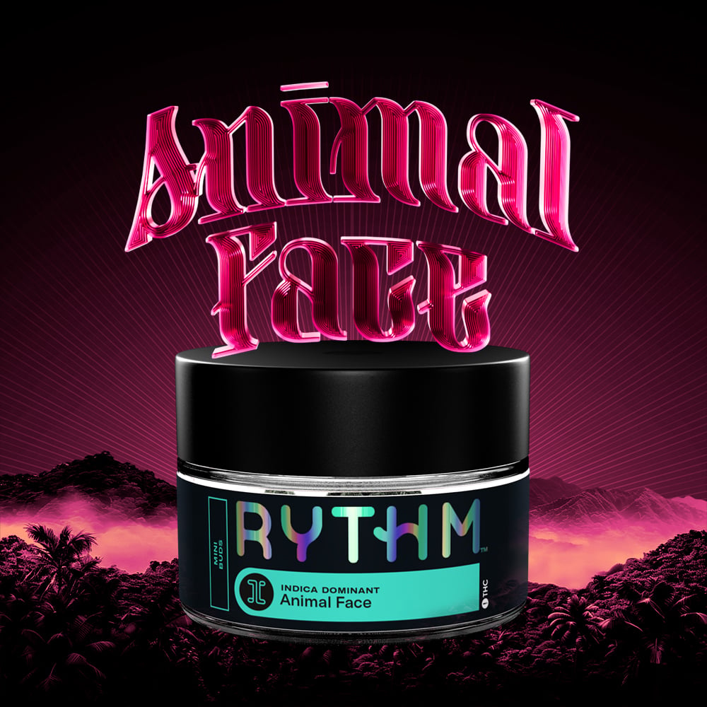 RYTHM – Animal Face