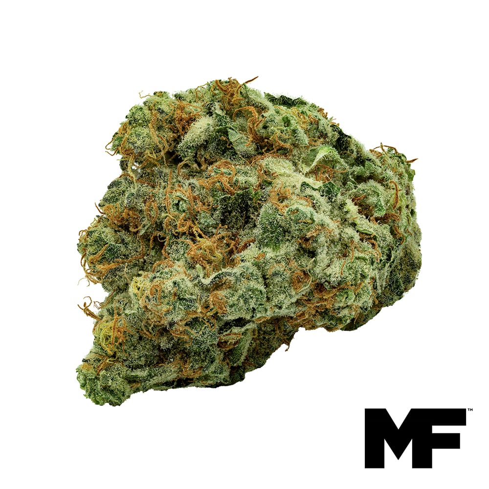 Modern Flower – FRT GSHRS