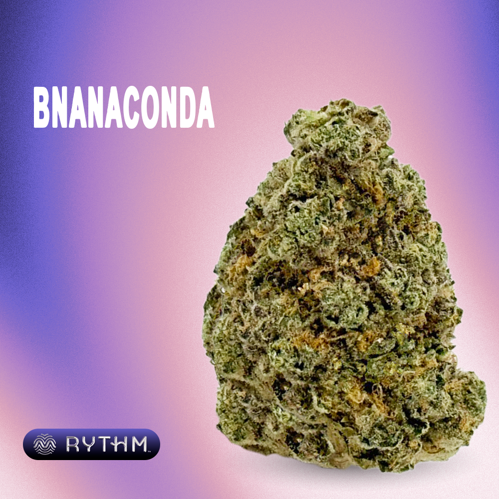 RYTHM – BNANACONDA