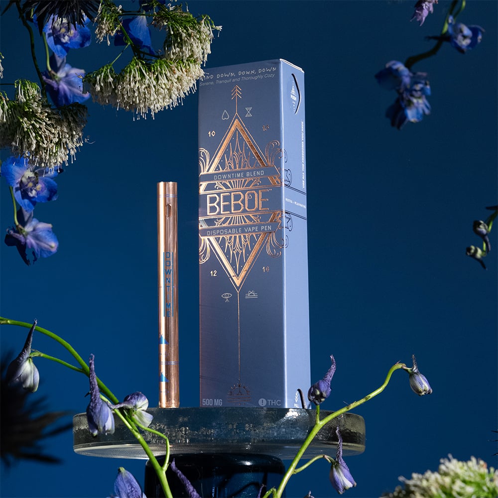 Beboe – Downtime Blueberry [500mg]