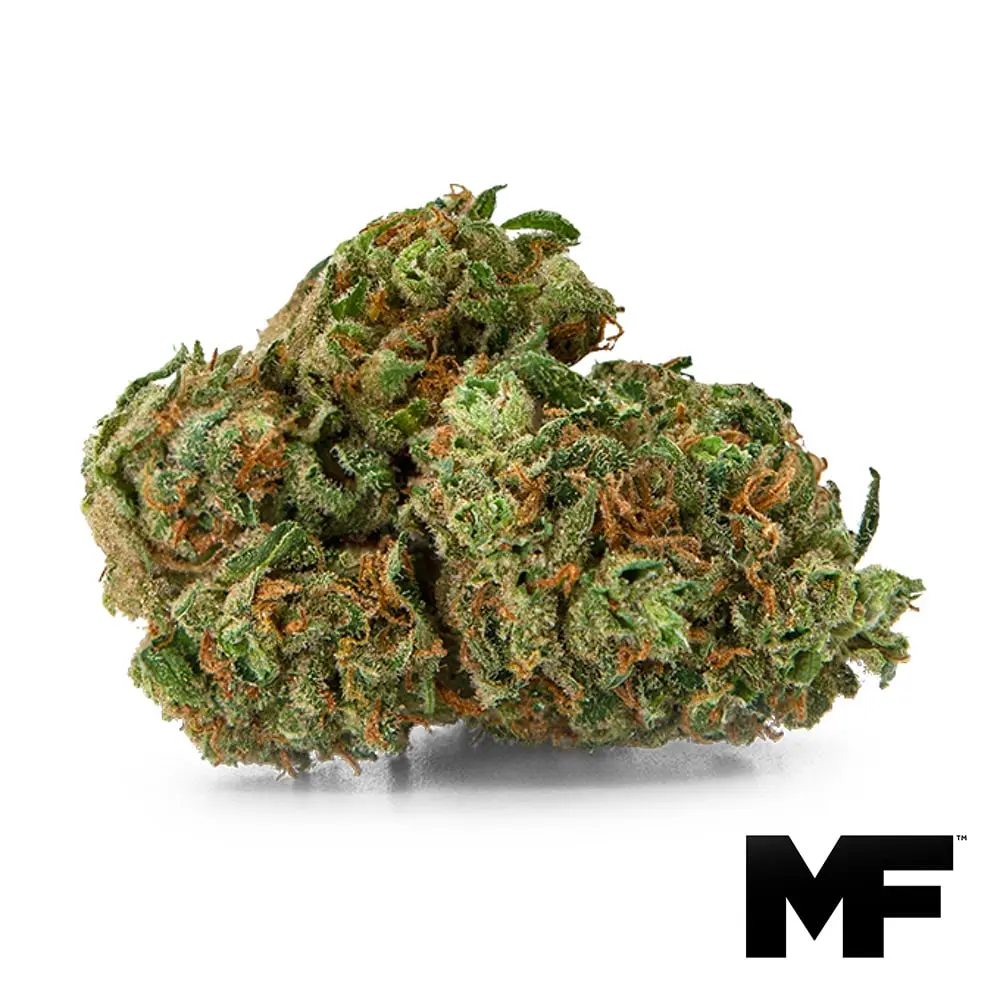 Modern Flower – Dream N Sour