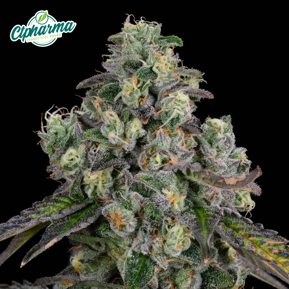 CTPharma – E85 Flower S 27435