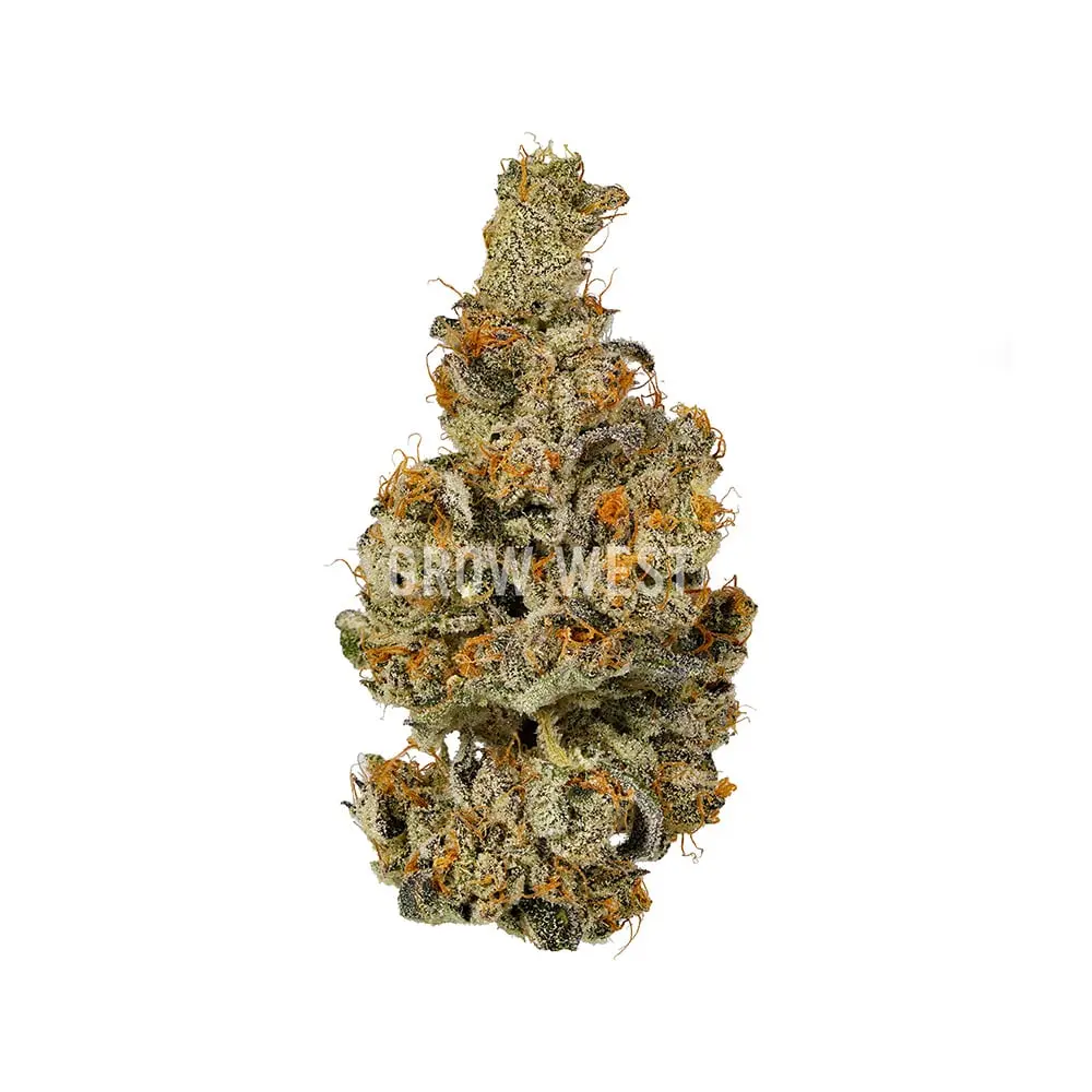 Grow West – Lemondary