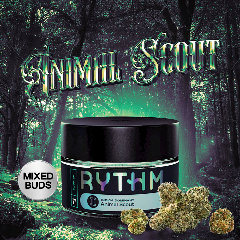 RYTHM – Animal Scout