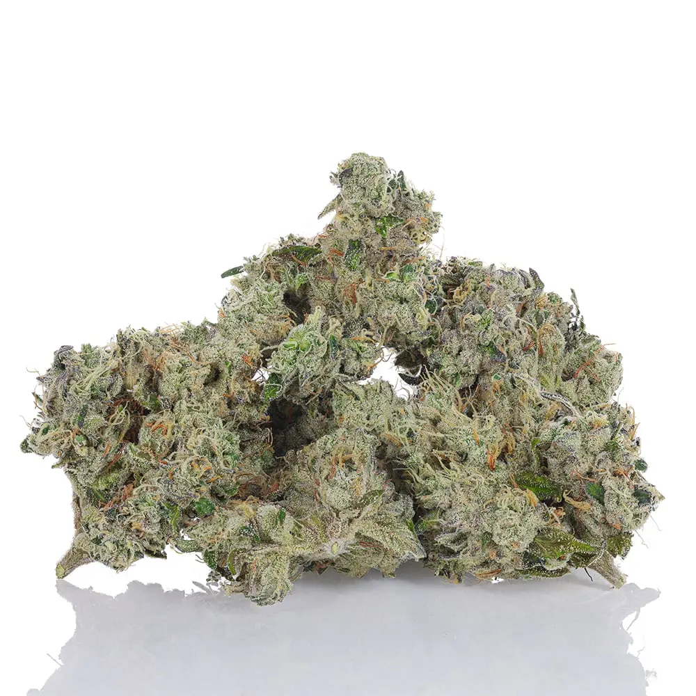 bLVd – 702 Headband