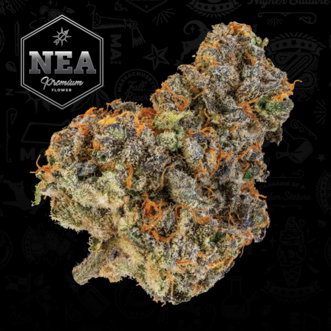 Northeast Alternatives – Heavy Eye