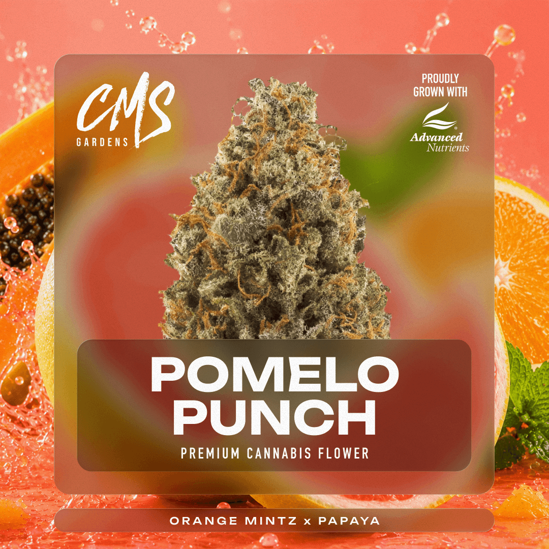 CMS Gardens – Pomelo Punch