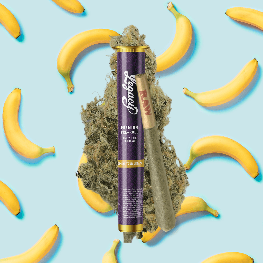 Legacy – Honey Bananas [1g]