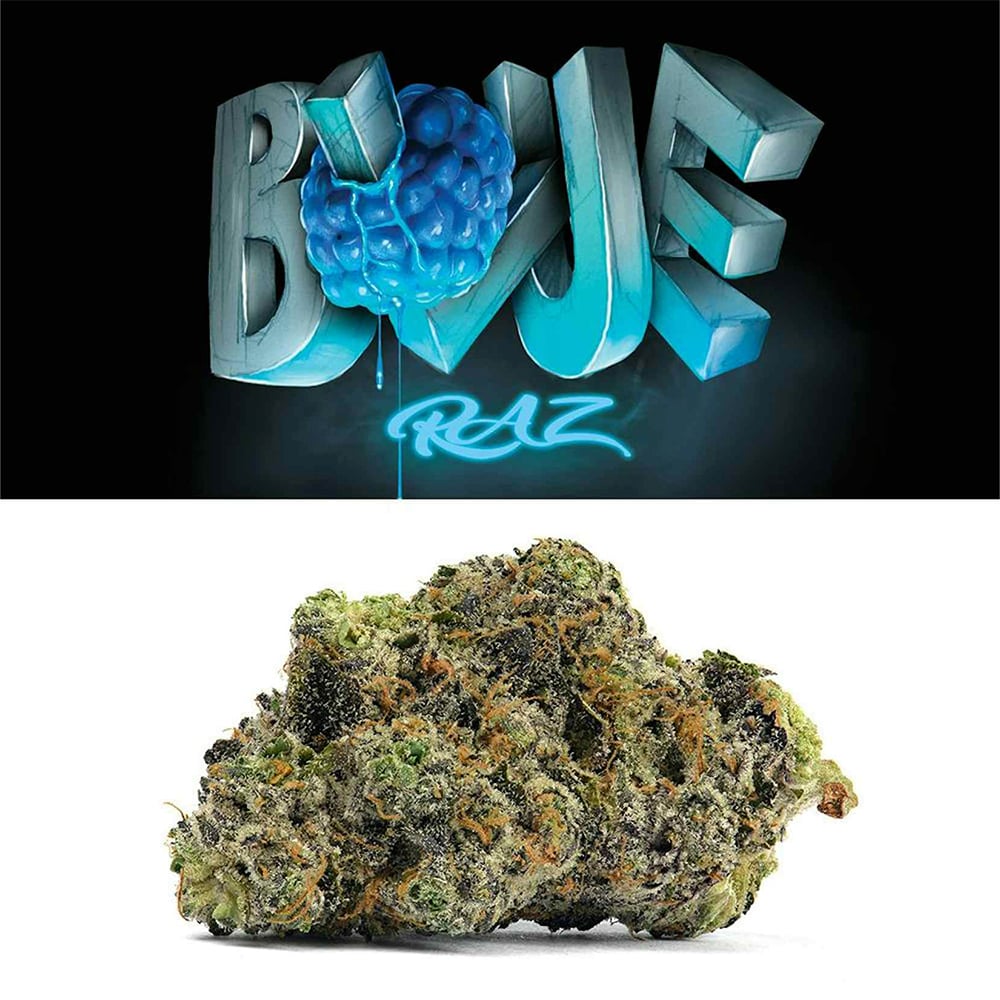 Cookies – Blue Raz