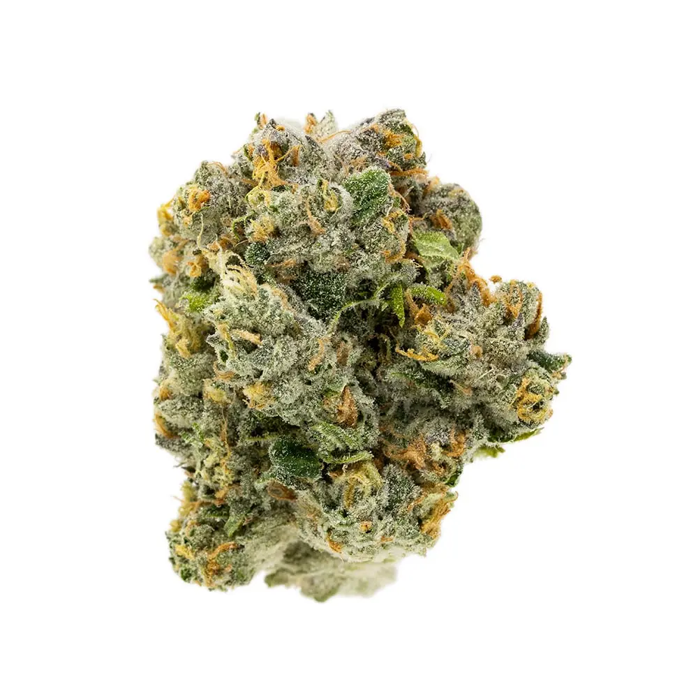 Terrapin – Royal Durban