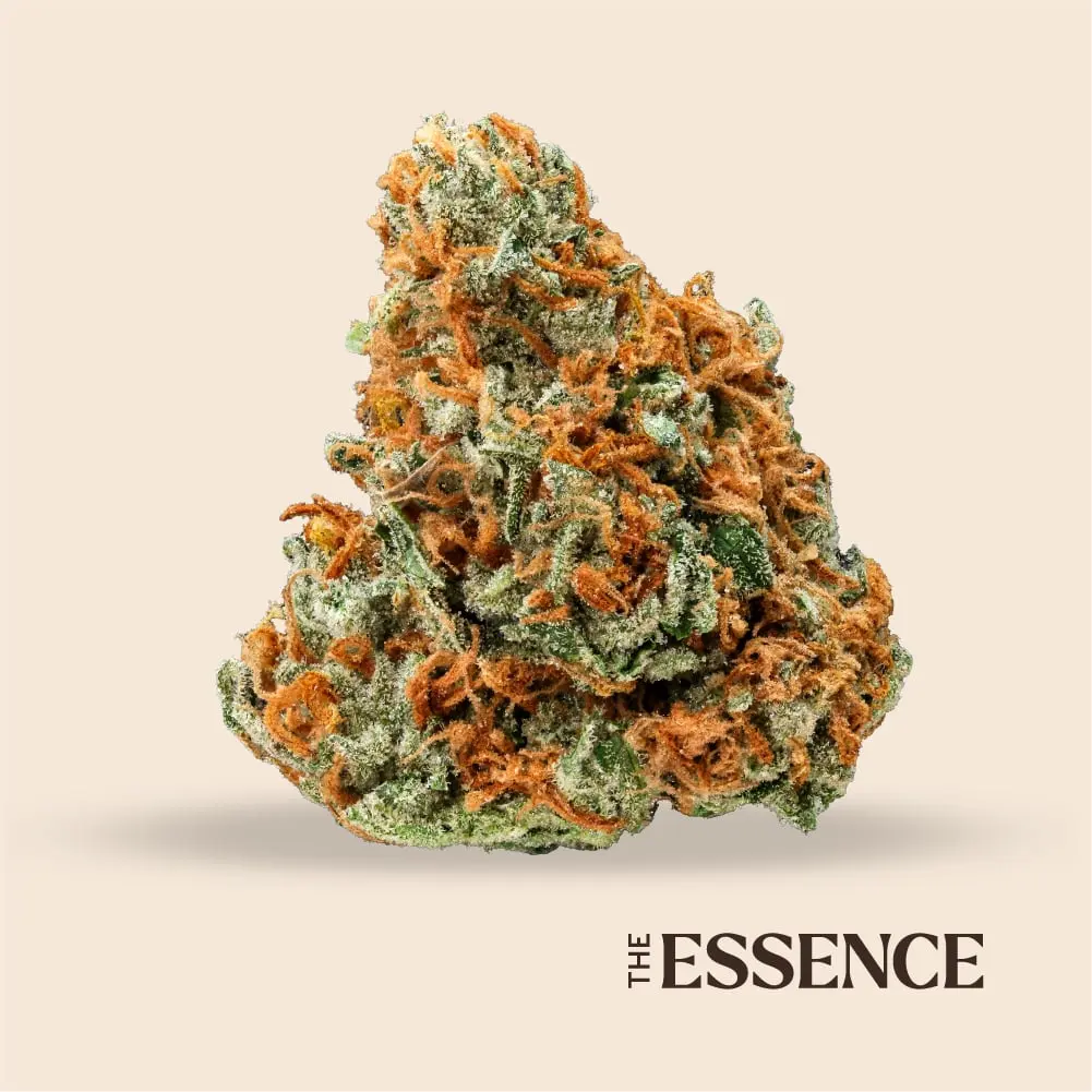 (the) Essence – Casey Jones