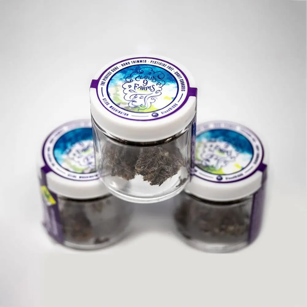 Cloud 9 Farms – Gridiron OG