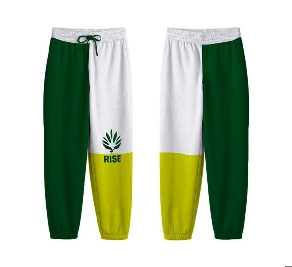 RISE Merch – Colorblock Jogger - Leaf/Kief/White [2XL]