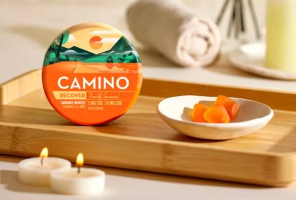 Camino – 2:1 'Recover' Freshly Squeezed [20pk] (200mg CBG/100mg THC)