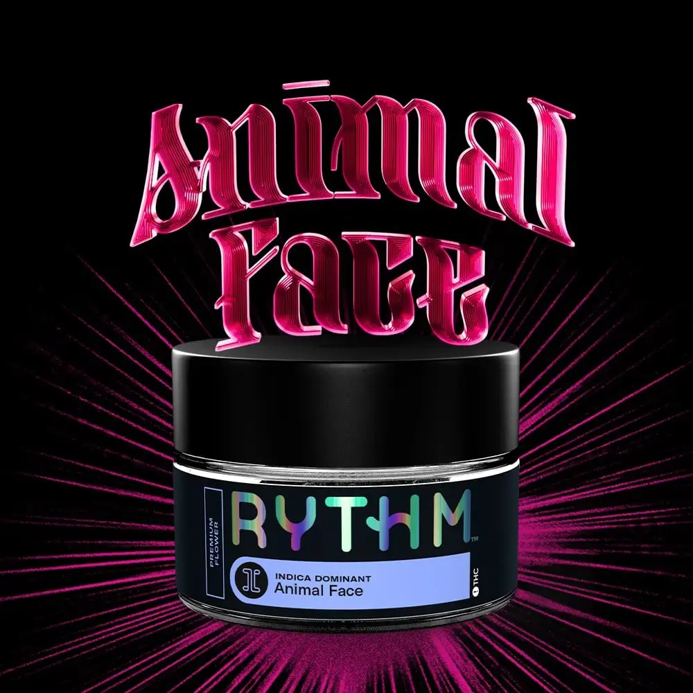 RYTHM – Animal Face