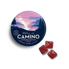 Camino – 'Chill' Wild Berry [20pk] (100mg THC)