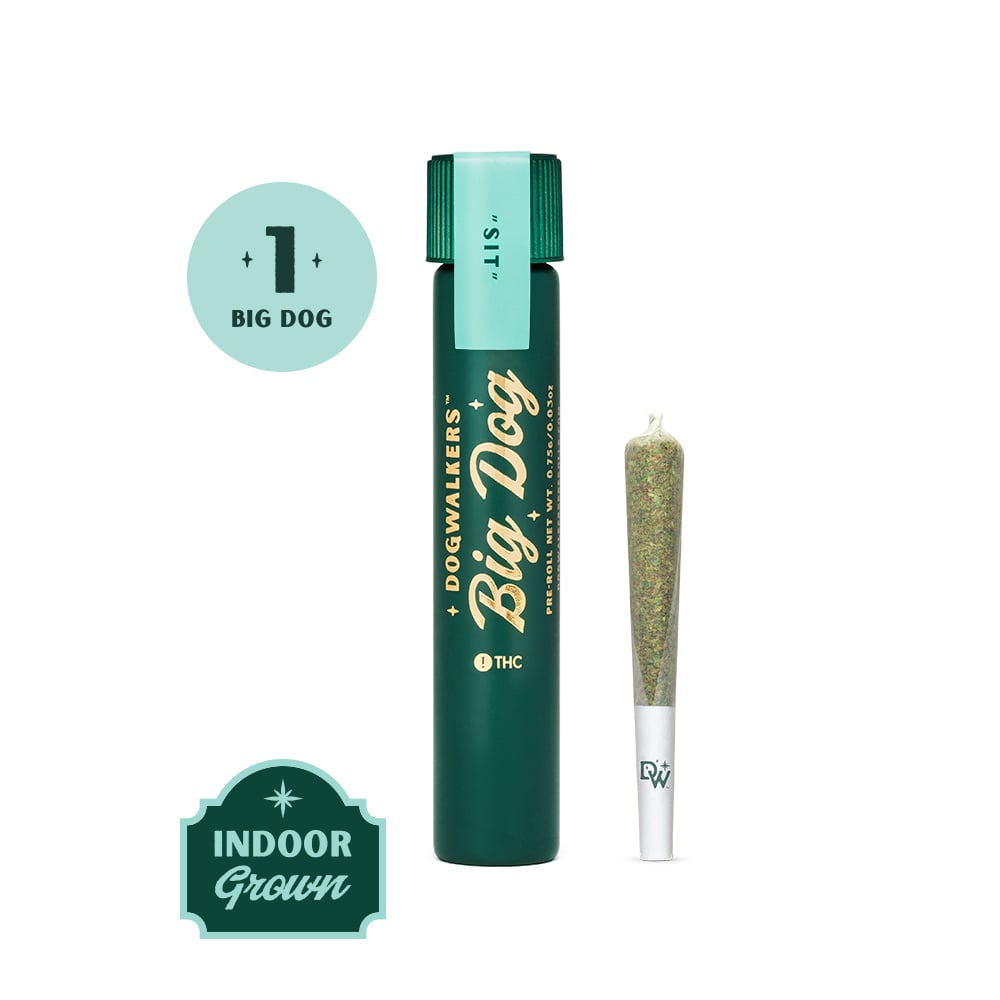 Dogwalkers – Brownie Scout #7 [.75g]