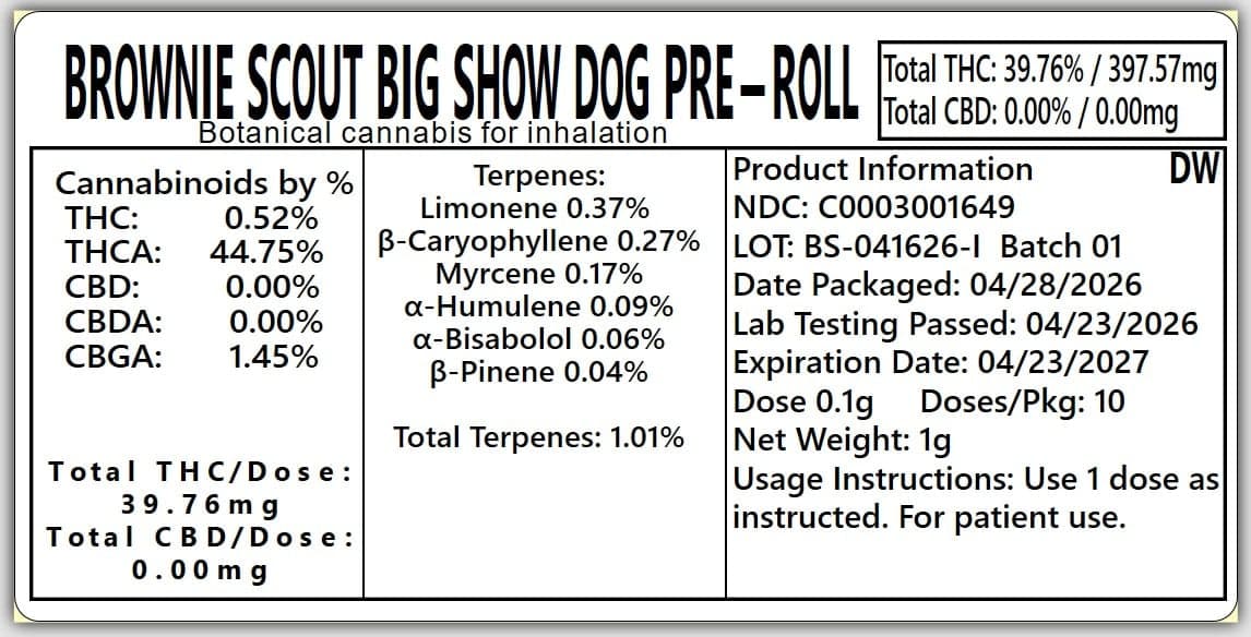 Dogwalkers – Brownie Scout [1g]