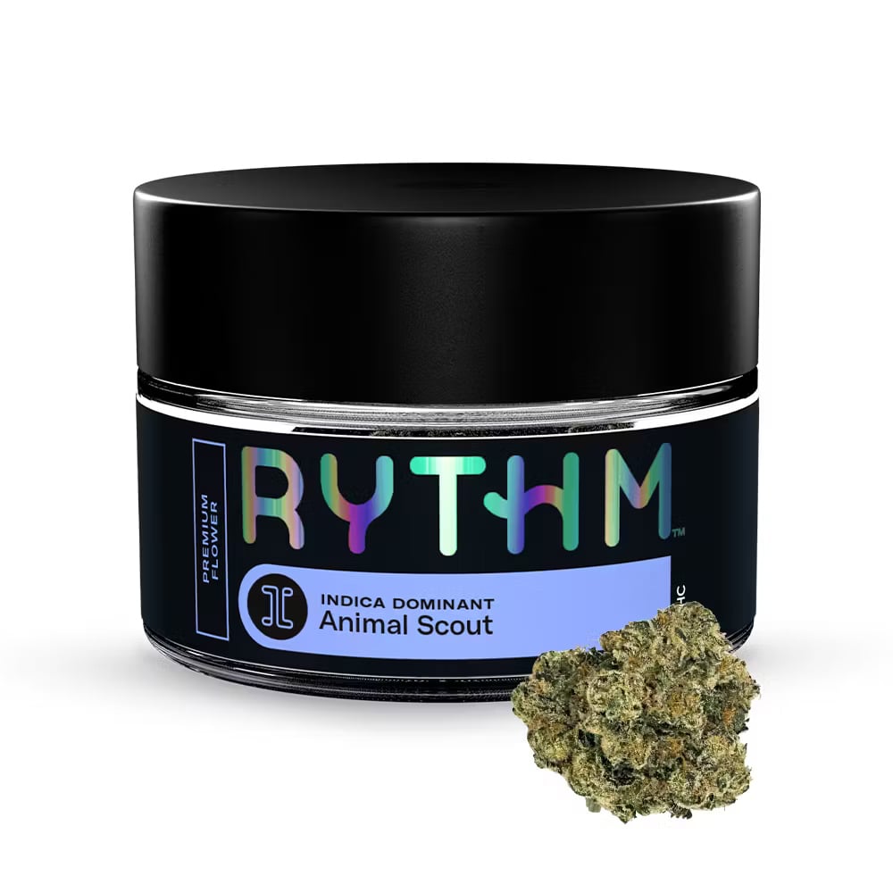 RYTHM – Animal Scout