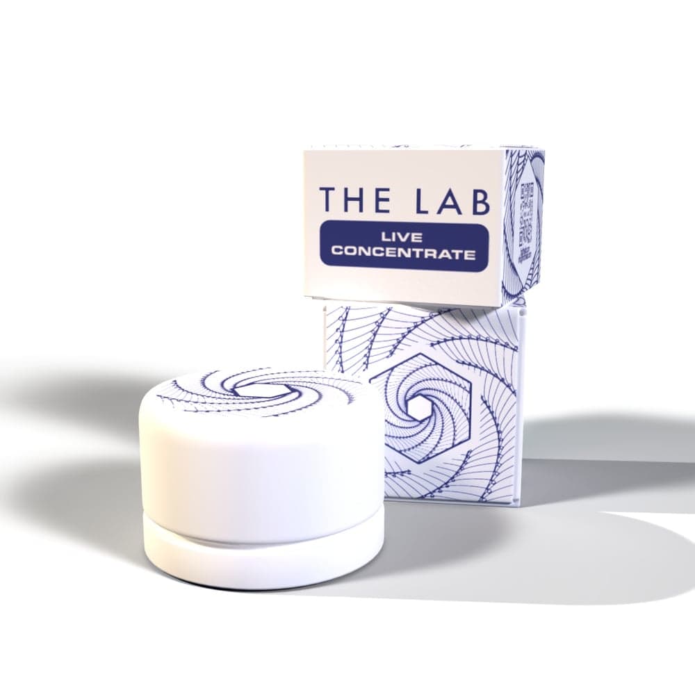 Lab – Apple Mintz