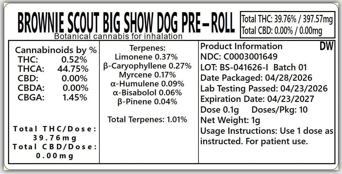 Dogwalkers – Brownie Scout [1g]