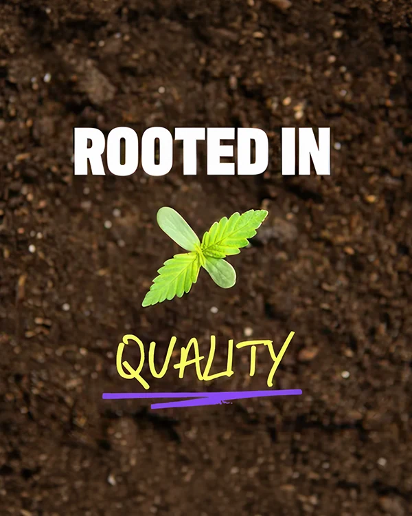Dispensary Page Revamp DSP NONRISE-04-RootedInQuality V001