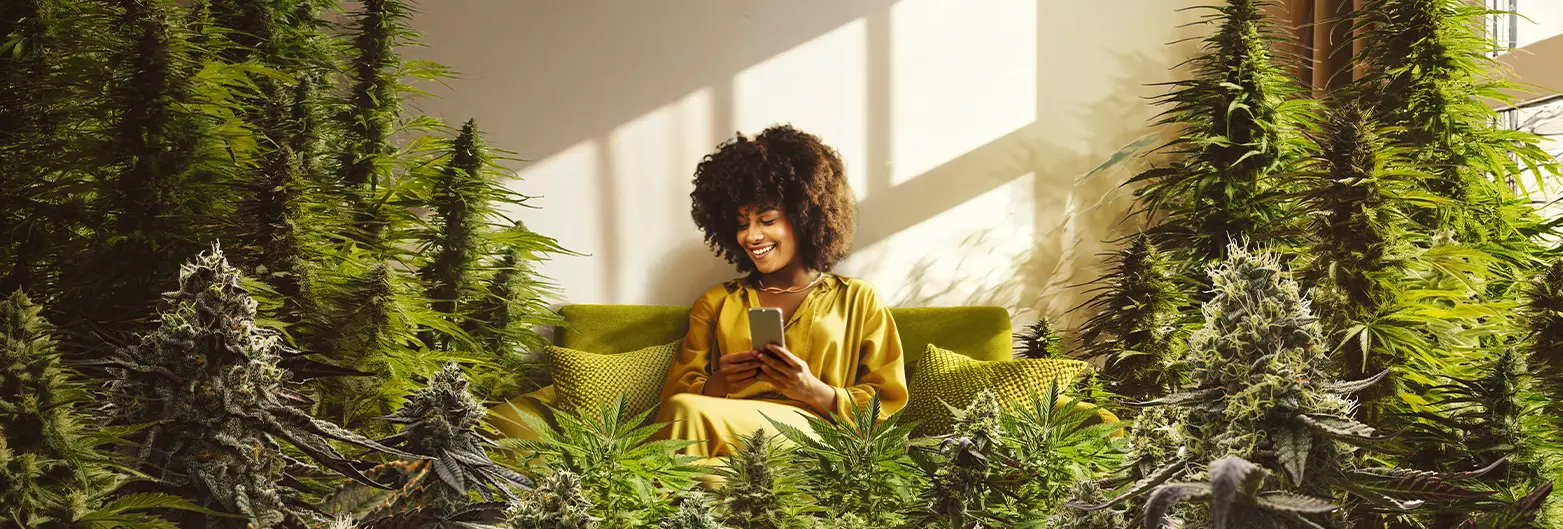 RISE Dispensary delivers quality cannabis near you